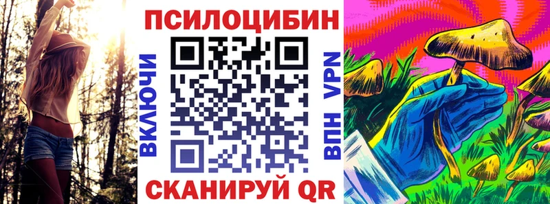MEGA tor  Жуковский  Псилоцибиновые грибы мухоморы 