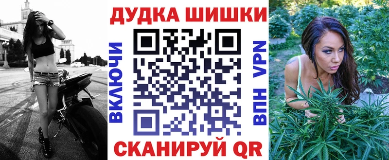 где можно купить наркотик Жуковский Каннабис конопля